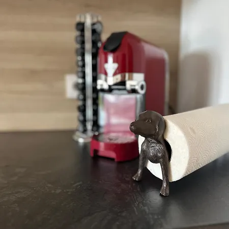 Postplattler Apartman Hof bei Salzburg