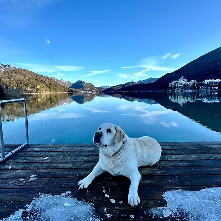 Postplattler * ホーフ・バイ・ザルツブルク