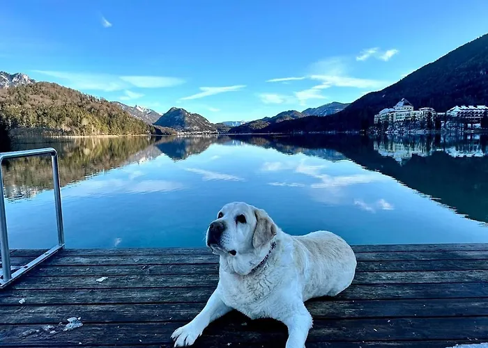 Postplattler * 霍夫北萨尔茨堡